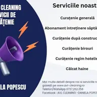AVL Cleaning